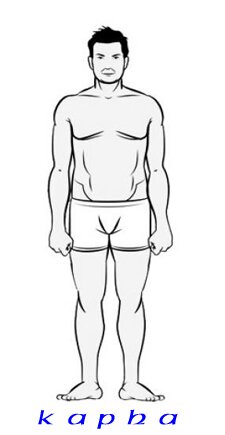 Тип телосложения  - Капха