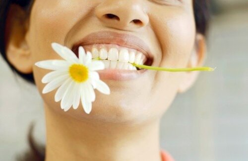Профилактика и здоровье зубов