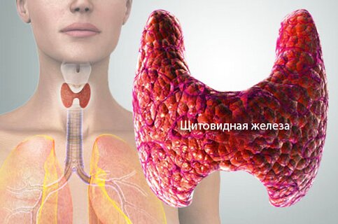 Онкология щитовидной железы